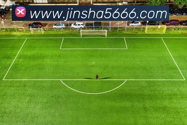 金沙娱乐APP 封面图